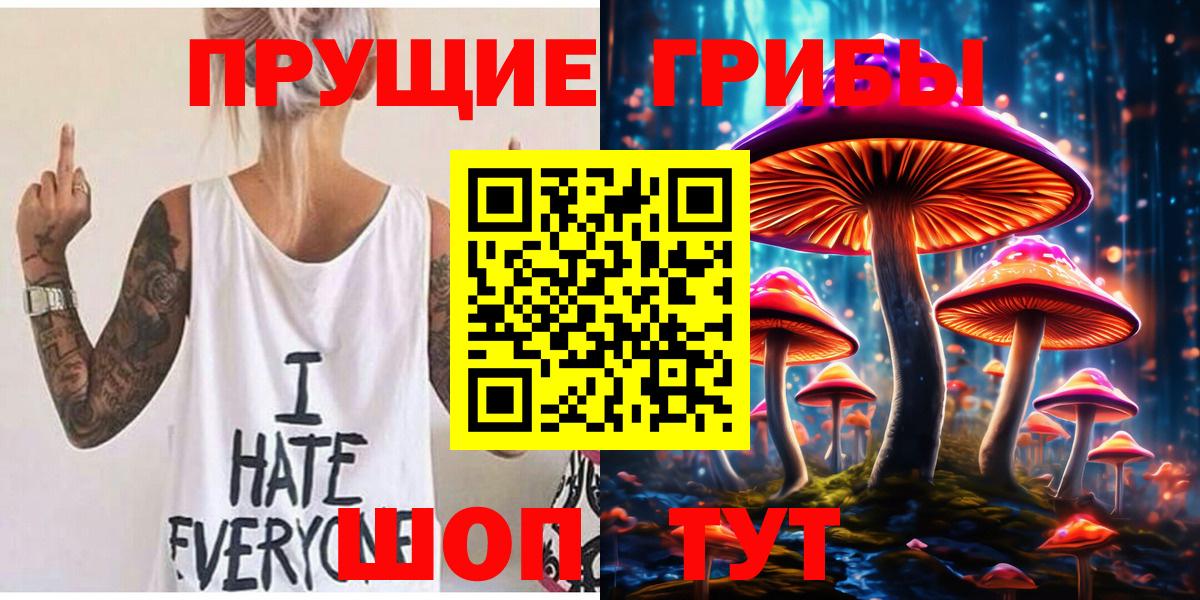 Галлюциногенные грибы мицелий  как найти   Будённовск 