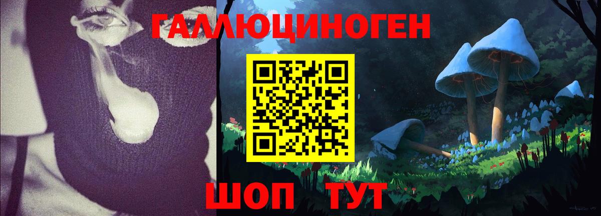 Галлюциногенные грибы ЛСД Будённовск