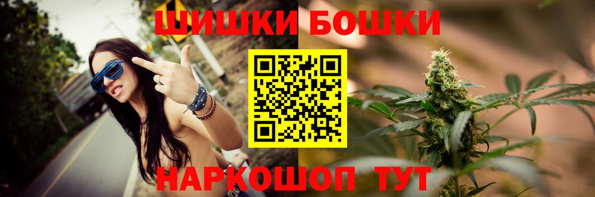 Бошки марихуана конопля Будённовск